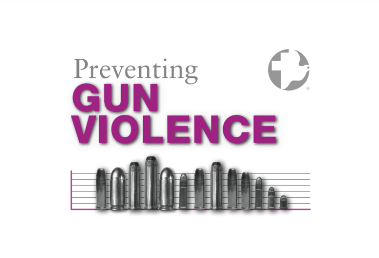 GUIDE: Preventing Gun&nbsp;Violence